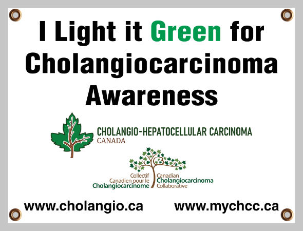 Light It Green 2026 Yard Sign