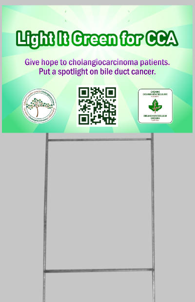 Light It Green 2026 Yard Sign